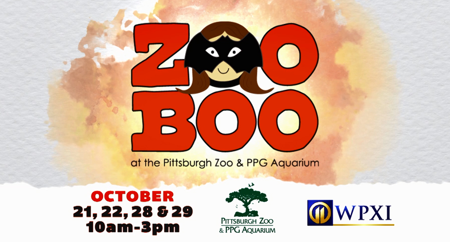 Pittsburgh Zoo – Zoo Boo 2017