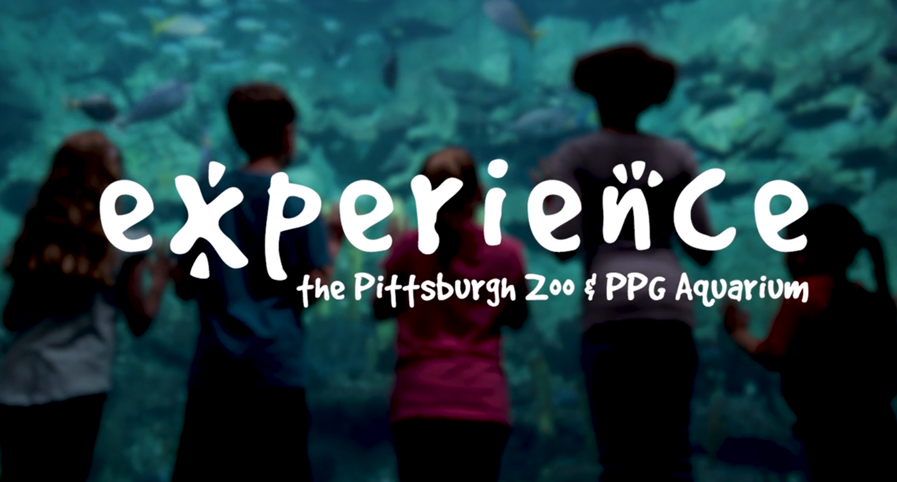 Experience The Pittsburgh Zoo & PPG Aquarium